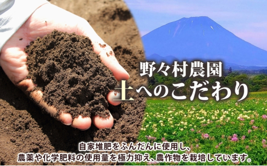 アイテムID:391428の画像3枚目