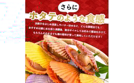 【希望者のみラッピング無料】 令和7年11月より順次発送予定》＜期間・数量限定＞長島特産 その他