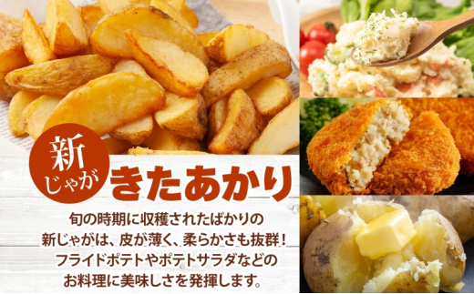 アイテムID:391428の画像4枚目