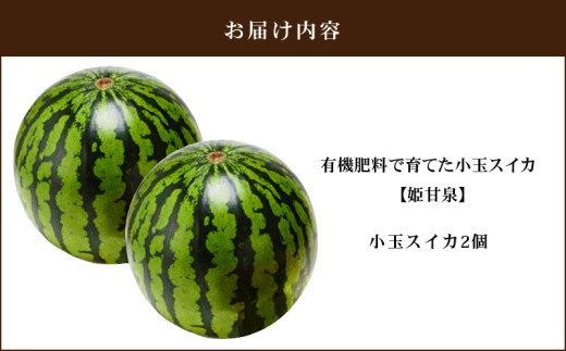 有機肥料で育てた小玉スイカ【姫甘泉】（2個入り） M002-008
