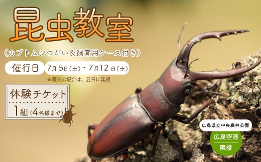 【広島県立中央森林公園】カブトムシのお家をつくろう!昆虫教室 （カブトムシつがい＆飼育用ケース付き）4名様分 昆虫採集 広島空港 クワガタ 小学生 自由研究 自主学習 043026