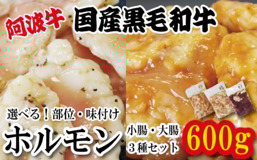 ホルモン 小腸 阿波牛 200g×3パック 小分け 計600g 国産 牛 黒毛和牛 鍋 焼肉 脂 焼き ホソ もつ 肉 牛肉 BBQ [北海道・東北・沖縄・離島への配送不可]
