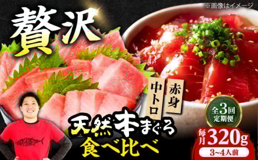 【全3回定期便】極上！たね熟天然本まぐろ赤身＆中トロセット(320g 各160g) 天然 マグロ 鮪 中トロ 刺身 魚 赤身 大阪府高槻市/本まぐろ直売所 [AOCE040]