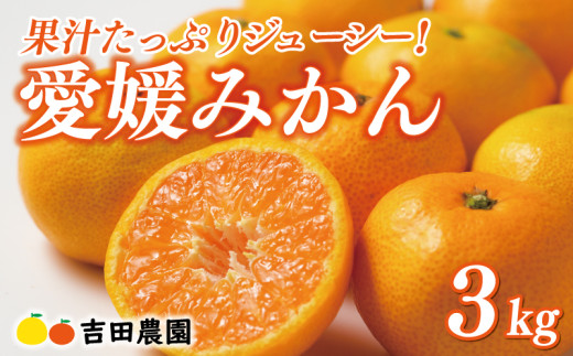 先行予約 愛媛みかん 3kg 9000円 愛媛 みかん 温州みかん こたつ みかん mikan 蜜柑 ミカン 家庭用 贈答用 ギフト プレゼント お歳暮 産地直送 国産 農家直送 糖度 期間限定 数量限定 特産品 ゼリー ジュース アイス 人気 限定 甘い フルーツ 果物 柑橘 先行 事前 予約 受付 ビタミン 美味しい おいしい 吉田農園 愛南町 愛媛県