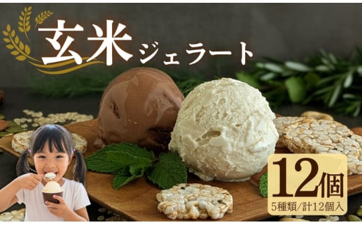 【ヴィーガン】 玄米ジェラート12個 アイス 宇治茶 抹茶 ほうじ茶 いちご クランベリー  菓子 グルテンフリー スイーツ ビーガン ヴィーガン ココナッツミルク 苺 玄米 健康 おやつ 京都 デザート 夏【175】 565781 - 京都府井手町