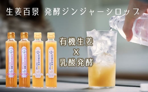 【生姜百景】発酵ジンジャーシロップ 4本セット　有機生姜×乳酸発酵