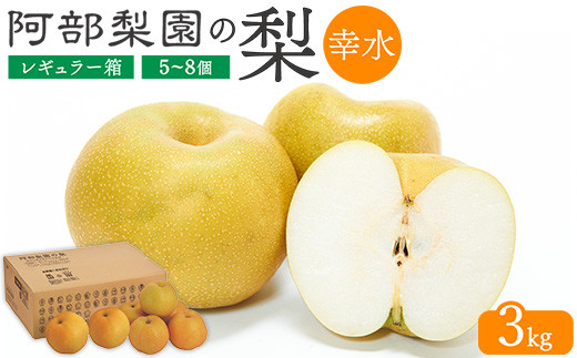 阿部梨園の梨（3kg　レギュラー箱）幸水　※離島への配送不可　※2025年8月中旬～8月下旬頃に順次発送予定
