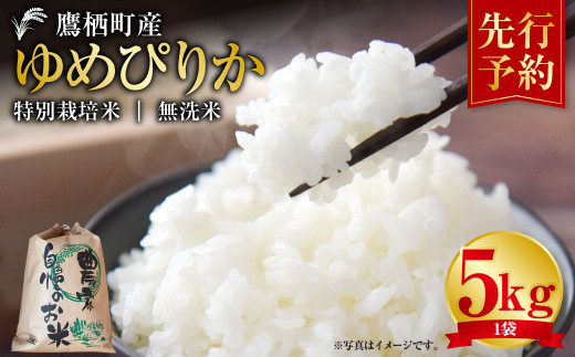 【令和7年産】 ゆめぴりか （無洗米） 5kg  北海道 鷹栖町 たかすタロファーム 米 コメ こめ ご飯 無洗米 お米 ゆめぴりか 無洗米 【2025年9月下旬より発送開始】 974454 - 北海道鷹栖町