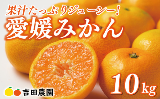 先行予約 愛媛みかん 10kg 24000円 愛媛 みかん 温州みかん こたつ みかん mikan 蜜柑 ミカン 家庭用 贈答用 ギフト プレゼント お歳暮 産地直送 国産 農家直送 糖度 期間限定 数量限定 特産品 ゼリー ジュース アイス 人気 限定 甘い フルーツ 果物 柑橘 先行 事前 予約 受付 ビタミン 美味しい おいしい 吉田農園 愛南町 愛媛県