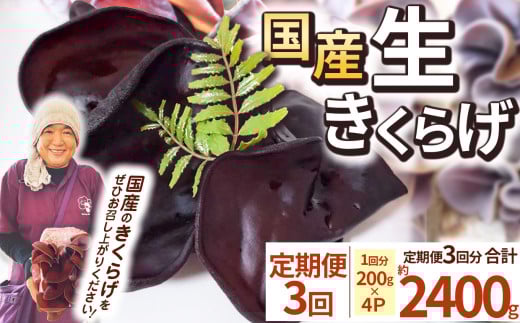 【期間限定】【定期便3回】生きくらげ 200g×4P ともちゃん農園 |定期便 きくらげ 生きくらげ 食物繊維 鉄分 カルシウム ビタミンD カリウム アミノ酸 低カロリー ダイエット中でも安心 高血圧予防 ふるさと 納税 栃木県 那珂川町 送料無料 2098691 - 栃木県那珂川町