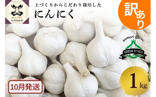 【先行受付】【10月発送】 訳あり 青森県産にんにく1kg 五所川原にんにく