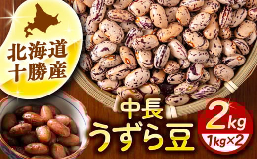 北海道 あしょろの中長うずら豆 1kg×2袋《足寄町》【党崎農場】中長鶉 中長うずら豆 うずら豆 インゲン豆  北海道産 [BEAA022] 1269628 - 北海道足寄町