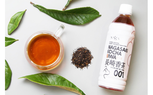 お茶 ペットボトル 長崎香茶びわ 500ml 24本 [サンダイ 長崎県 東彼杵町 hs42bag230004] 茶 びわ茶 ビワ茶 枇杷茶 琵琶茶 2146165 - 長崎県東彼杵町