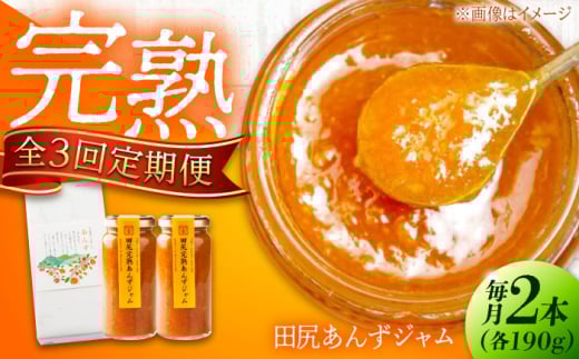 【全3回定期便】 ジャム 田尻完熟あんずジャム (2本)　ジャム 果物 あんず パン 甘い 菓子 朝ごはん 広島県福山市/有限会社勉強堂 [BAFL012]