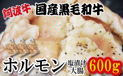 ホルモン 大腸 阿波牛 塩漬け 200g×3パック 小分け 計600g  国産 牛 黒毛和牛 鍋 焼肉 脂 焼き シマチョウ もつ 肉 牛肉 BBQ 【北海道・東北・沖縄・離島への配送不可】