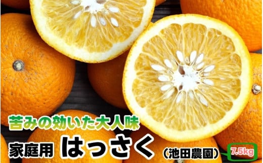 はっさく 7.5kg+250g（痛み補償分） 家庭用 光センサー / 八朔 訳あり 甘い 和歌山 有田 柑橘 ※1月上旬〜4月上旬頃に順次発送予定 ※北海道・沖縄・離島への配送不可 【ikd021-c-7d5】 2139941 - 和歌山県広川町
