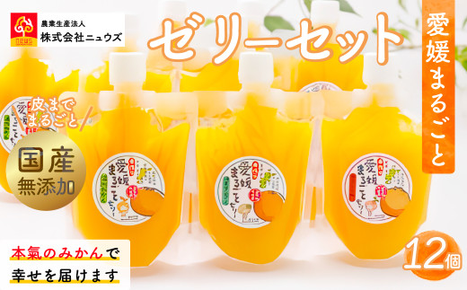 【皮までまるごと国産無添加】愛媛まるごとゼリーセット（12個） 【 ふるさと納税 人気 おすすめ ランキング みかん ミカン 蜜柑 ゼリー セット フルーツ 果物 ニュウズ 愛媛県 伊方町 送料無料 】 IKTF012