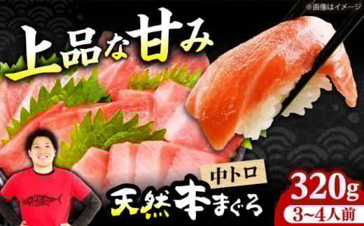 極上!たね熟天然本まぐろ中トロ(320g) 天然 マグロ 鮪 中トロ 刺身 魚 魚介 魚介類 海鮮丼 本マグロ 本まぐろ 本鮪 中とろ 中トロ 冷凍 お刺身 お寿司 大阪府高槻市/本まぐろ直売所 [AOCE009]