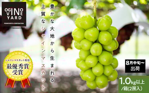 [2025年先行予約_8月中旬〜発送]山梨県産シャインマスカット 1.0kg以上/箱 2房入 ALPAK004|おすすめ 人気 山梨県 産地直送 フルーツ 果物 くだもの ブドウ ぶどう シャイン マスカット くだもの 国産 葡萄 新鮮