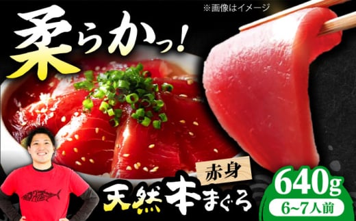 極上!たね熟天然本まぐろ赤身(640g) 天然 マグロ 鮪 赤身 刺身 魚 魚介 魚介類 海鮮丼 本マグロ 本まぐろ 本鮪 赤身 天然鮪 冷凍 お刺身 お寿司 大阪府高槻市/本まぐろ直売所 [AOCE005]