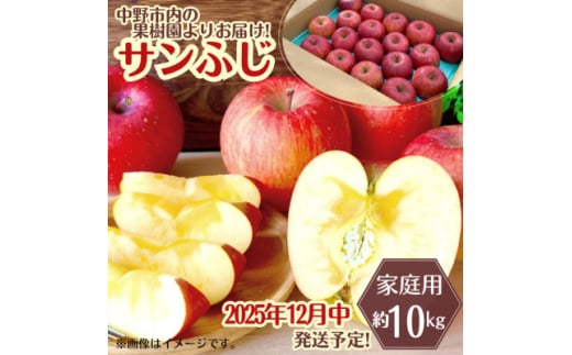 ◆2025年12月中発送◆りんご サンふじ家庭用 約10kg(24～42玉)【1494948】 1333684 - 長野県中野市