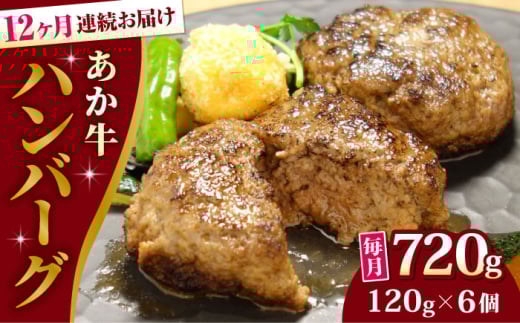 【全12回定期便】あか牛 100％ハンバーグ セット 120g×6個【有限会社 三協畜産】 [YCG181] 2139668 - 熊本県山都町