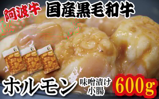 ホルモン 小腸 阿波牛 味噌漬け 200g×3パック 小分け 計600g  国産 牛 黒毛和牛 鍋 焼肉 脂 焼き ホソ もつ 肉 牛肉 BBQ 【北海道・東北・沖縄・離島への配送不可】
