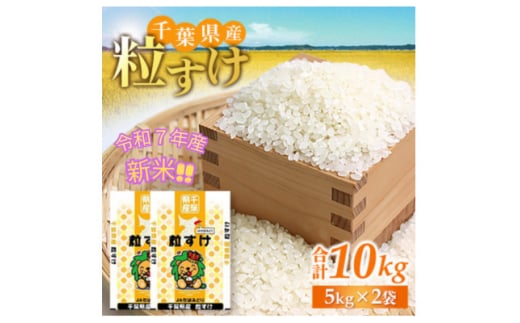 ＜令和7年産　新米予約＞千葉県産　粒すけ　精米10kg(5kg×2袋)【1628066】