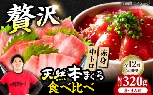 【全12回定期便】極上！たね熟天然本まぐろ赤身＆中トロセット(320g 各160g) 天然 マグロ 鮪 中トロ 刺身 魚 赤身 大阪府高槻市/本まぐろ直売所 [AOCE042]