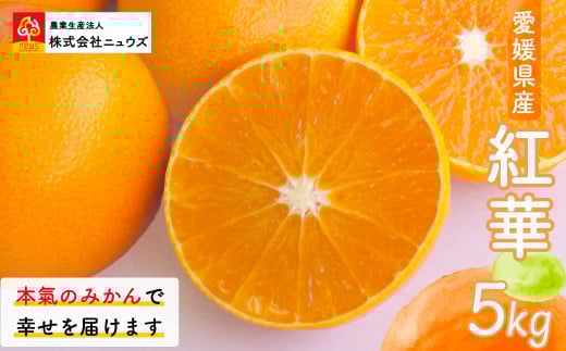 【先行予約】紅華（生果）約5kg （2025年12月上旬より順次発送） 【 ふるさと納税 人気 おすすめ ランキング みかん ミカン 蜜柑 紅華 フルーツ 果物 産地直送 ニュウズ 愛媛県産 愛媛県 伊方町 送料無料 】 IKTF015 2139721 - 愛媛県伊方町