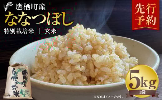 【令和7年産】 ななつぼし （玄米）  5kg 米 お米 玄米 北海道 玄米ご飯 鷹栖町 【2025年9月下旬より発送開始】 2138263 - 北海道鷹栖町