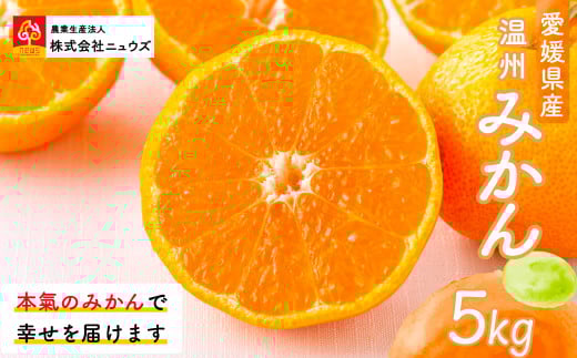 【先行予約】温州みかん（生果）5kg（2025年11月上旬より順次発送） 【 ふるさと納税 人気 おすすめ ランキング みかん ミカン 蜜柑 温州みかん 温州ミカン フルーツ 果物 産地直送 ニュウズ 愛媛県産 愛媛県 伊方町 送料無料 】 IKTF013 2139480 - 愛媛県伊方町