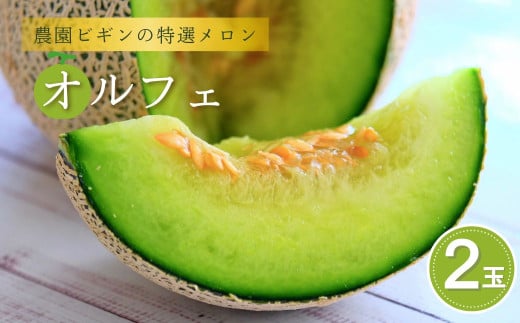 【先行予約】令和7年度産 メロン オルフェ 2玉 農園ビギン 【0002-0330-01】 2141941 - 新潟県小千谷市