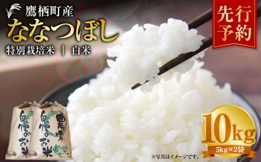 【令和7年産】 ななつぼし （白米）  5kg×2袋 米 白米 精白米 ごはん 北海道 鷹栖町 【2025年9月下旬より発送開始】  2138266 - 北海道鷹栖町