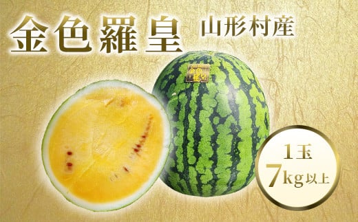 山形村産 金色羅皇 1玉(7kg以上)中川農園 3207 2135662 - 長野県山形村