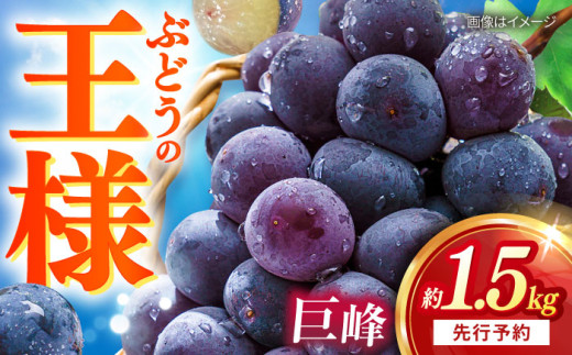 【先行予約：2026年8月中旬より順次発送予定】 巨峰 種あり 約1.5kg / ぶどう 葡萄 フルーツ / 大村市 / おおむら夢ファームシュシュ [ACAA379] 1537357 - 長崎県大村市