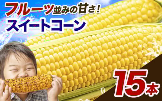 とうもろこし 極甘 スイートコーン ゴールドラッシュ 恵味 15本《7月中旬-8月上旬頃出荷予定》熊本県 産山村 野菜 夏野菜 コーン トウモロコシ 一番果 冷蔵 先行予約