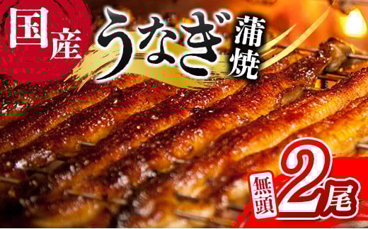 ＜ご家庭用＞うなぎ 鰻楽 国産 蒲焼 2尾 計240g以上（120g×2尾）おすすめ 冷凍 簡単調理 個包装 鰻 魚介【B666】