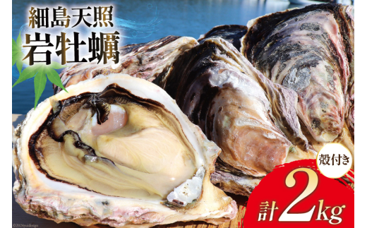 【期間限定発送】 牡蠣 細島天照 岩牡蠣 2kg 殻付き [一福丸 宮崎県 日向市 452061387] ほそしま かき カキ 岩ガキ 日豊海岸 濃厚 クリーミー BBQ 生食