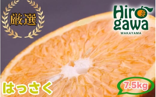 はっさく 7.5kg+250g（痛み補償分） 厳選 光センサー / 八朔 高級 甘い 和歌山 有田 柑橘 ※1月上旬〜4月上旬頃に順次発送予定 ※北海道・沖縄・離島への配送不可 【ikd021-p-7d5】 2140135 - 和歌山県広川町