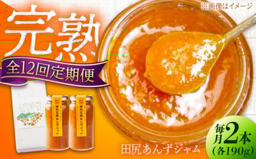 【全12回定期便】 ジャム 田尻完熟あんずジャム (2本)　ジャム 果物 あんず パン 甘い 菓子 朝ごはん 広島県福山市/有限会社勉強堂 [BAFL014]