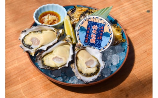 牡蠣 Lサイズ 15個 シングルシード オイスター 的矢牡蠣 天然 的矢かき かき カキ 三重県 伊勢 志摩 佐藤養殖場 的矢 まとや 生食用 生食 殻付き 新鮮 いせ しま 濃厚 おすすめ 直送 濃厚 クリーミー 天然 殻付き 海鮮 魚貝 魚貝類 国産 養殖 冷蔵  2136268 - 三重県志摩市