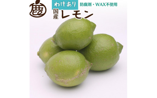 家庭用 レモン5kg+250g（傷み補償分）【和歌山有田産】【防腐剤・WAX不使用、安心の国産レモン】【わけあり・訳ありレモン】［IKE126］ 1460751 - 和歌山県高野町