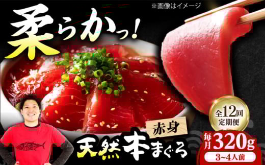 【全12回定期便】極上！たね熟天然本まぐろ赤身(320g) 天然 マグロ 鮪 赤身 刺身 魚 魚介 魚介類 海鮮丼 本マグロ 本まぐろ 本鮪 赤身 大トロ 冷凍 お刺身 お寿司 大阪府高槻市/本まぐろ直売所 [AOCE015]