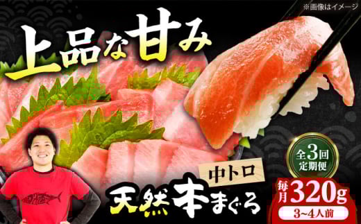 [全3回定期便]極上!たね熟天然本まぐろ中トロ(320g) 天然 マグロ 鮪 中トロ 刺身 魚 魚介 魚介類 海鮮丼 本マグロ 本まぐろ 本鮪 中とろ 中トロ 冷凍 お刺身 お寿司 大阪府高槻市/本まぐろ直売所 [AOCE031]