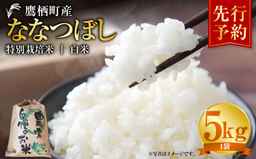 【令和7年産】 ななつぼし （白米） 5kg 米 お米 精白米 白米 こめ 北海道 鷹栖町 【2025年9月下旬より発送開始】 2138265 - 北海道鷹栖町