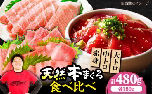 極上!たね熟天然本まぐろ赤身&中トロ&大トロセット(各160g 計480g) 魚介類 海鮮丼 本マグロ 本まぐろ 中トロ 大トロ 赤身 冷凍 お刺身 お寿司 大阪府高槻市/本まぐろ直売所 [AOCE012]