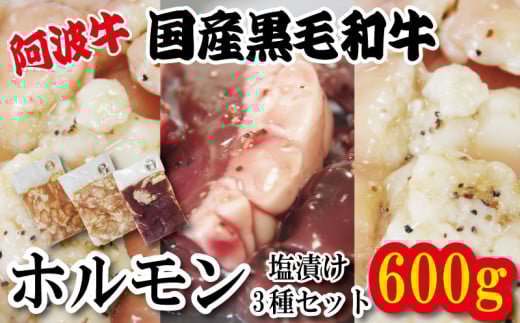 ホルモン 小腸 大腸 ハツ 阿波牛 塩漬け 200g×3パック 小分け 計600g  国産 牛 黒毛和牛 鍋 焼肉 脂 焼き ホソ シマチョウ もつ 肉 牛肉 BBQ 【北海道・東北・沖縄・離島への配送不可】