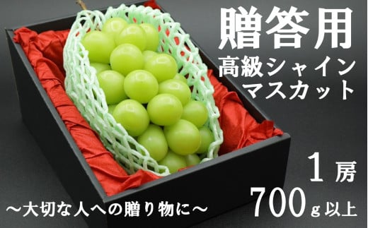 【令和７年度先行予約】贈答用！希少価値の高い高級シャインマスカット（１房 ７００ｇ以上）　シャイン シャインマスカット マスカット 葡萄 ぶどう ブドウ 果物 くだもの フルーツ 山梨 やまなし 富士川町 ギフト プレゼント 贈り物
