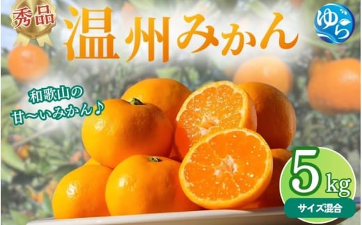 【先行予約】秀品 温州みかん 5kg 【2025年11月下旬～順次発送予定】/ みかん ミカン 和歌山県 柑橘  甘い 蜜柑 フルーツ 果物 くだもの 食品  産地直送 由良町  温州 みかん 【myvi008】